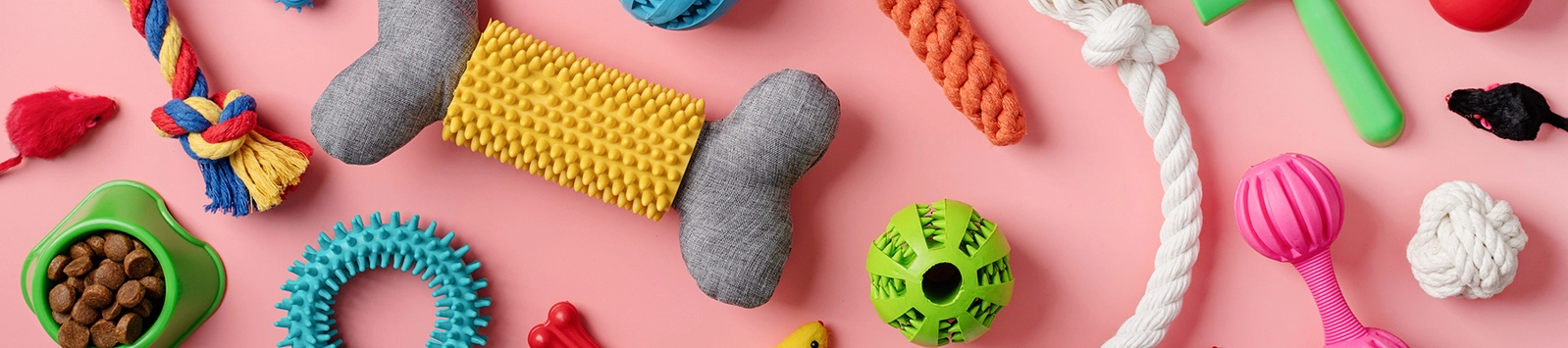 colorful array of pet toys, flat lay pattern