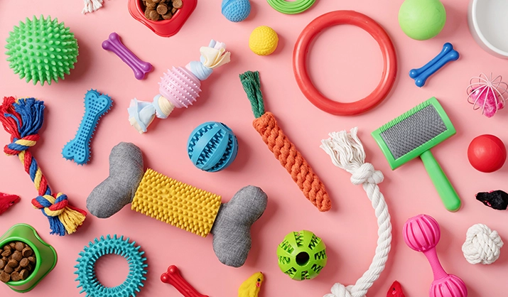 colorful array of pet toys, flat lay pattern